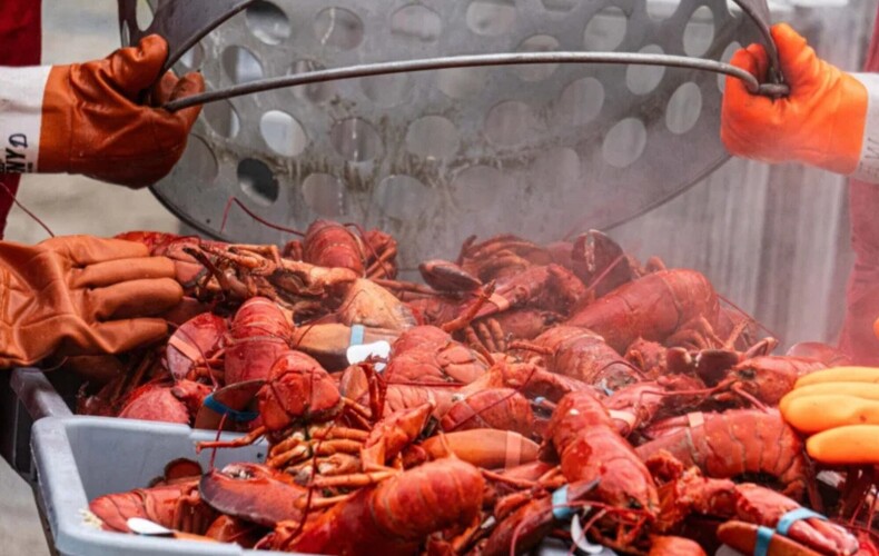 Soirée bénéfice - Souper homard