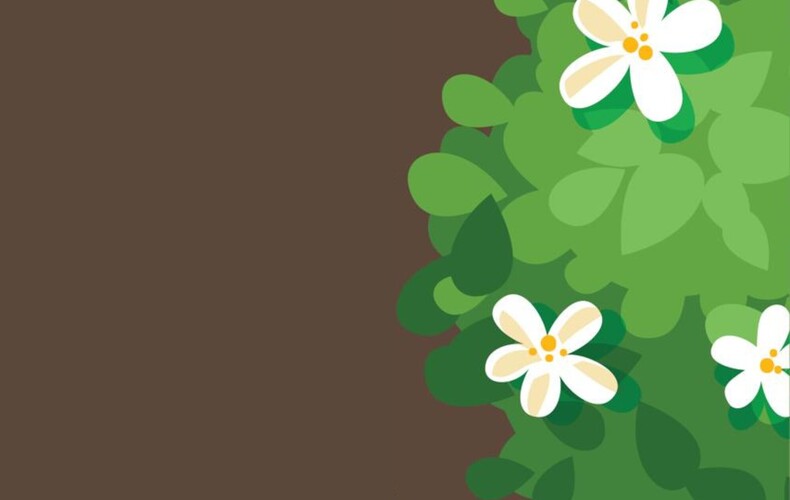 La petite fête des semences et des abeilles de Kingsey Falls