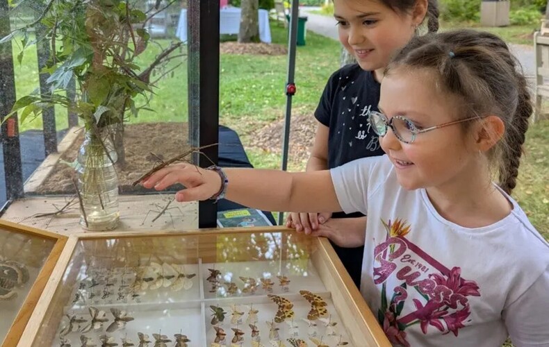 Dimanche gratuit pour les 0-19 ans - Journée Bestioles