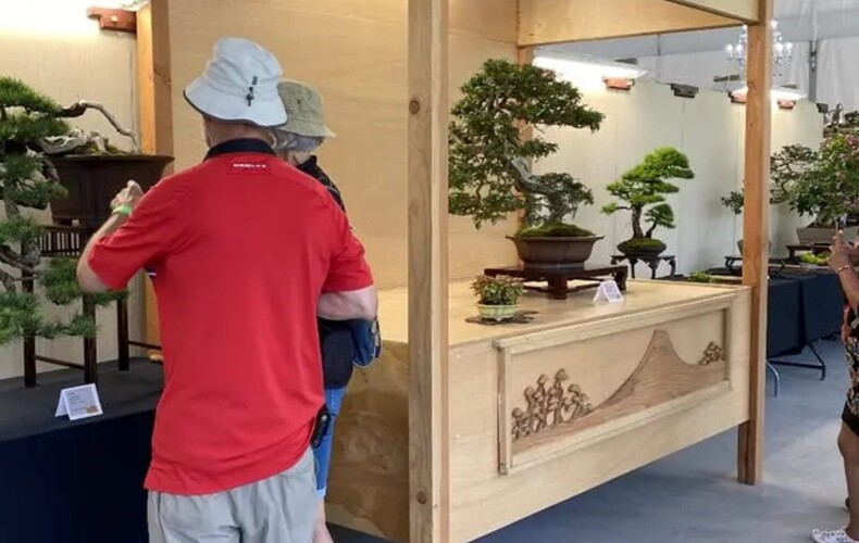 Exposition de bonsaïs