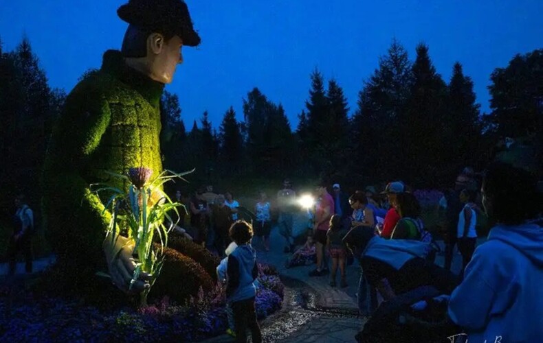 Nuits étoilées au jardin avec visite de nuit