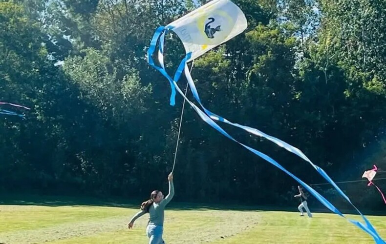 Dimanche gratuit pour les 0-19 ans - Thématique : Cerfs-volants